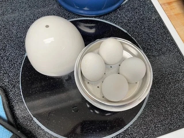 microwave egg boiler