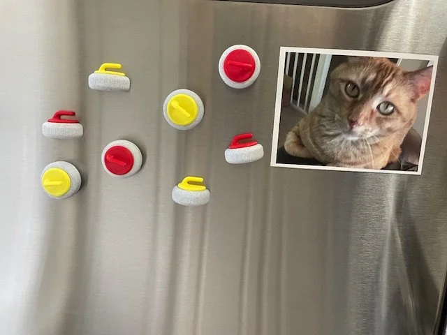 curling stone fridge magnets