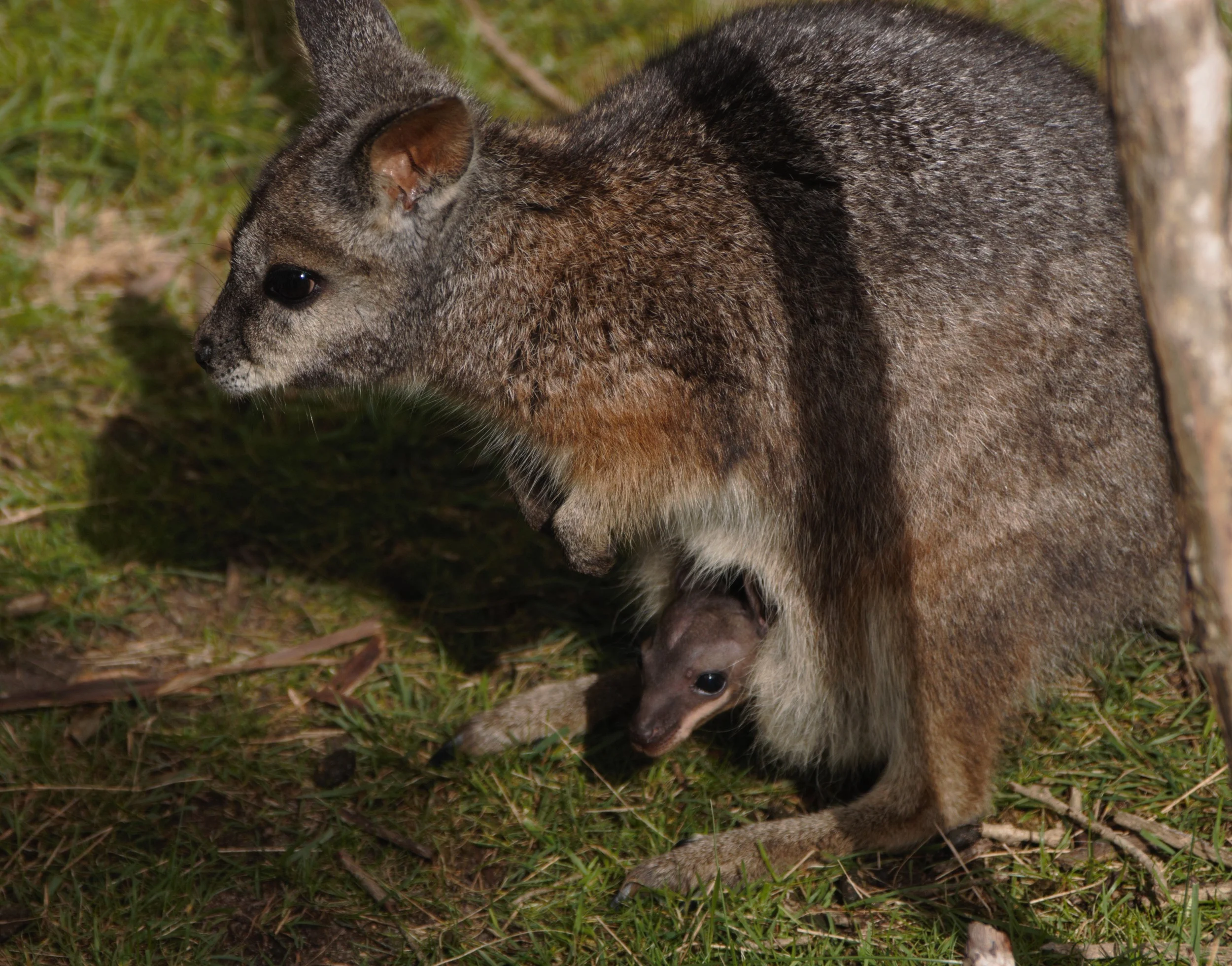 Melbourne, Australia