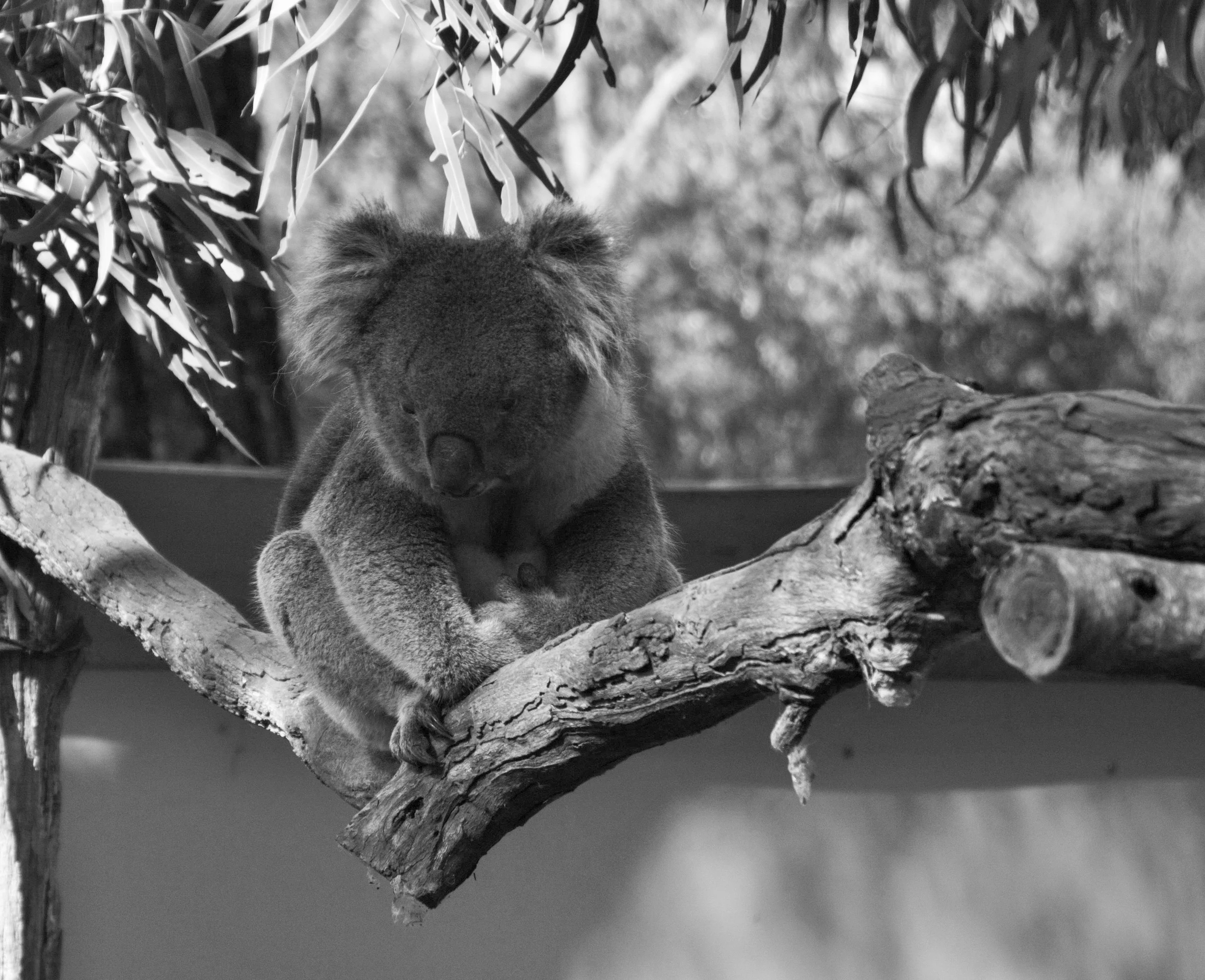 Melbourne, Australia