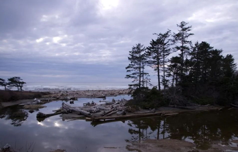 Olympic Peninsula, WA