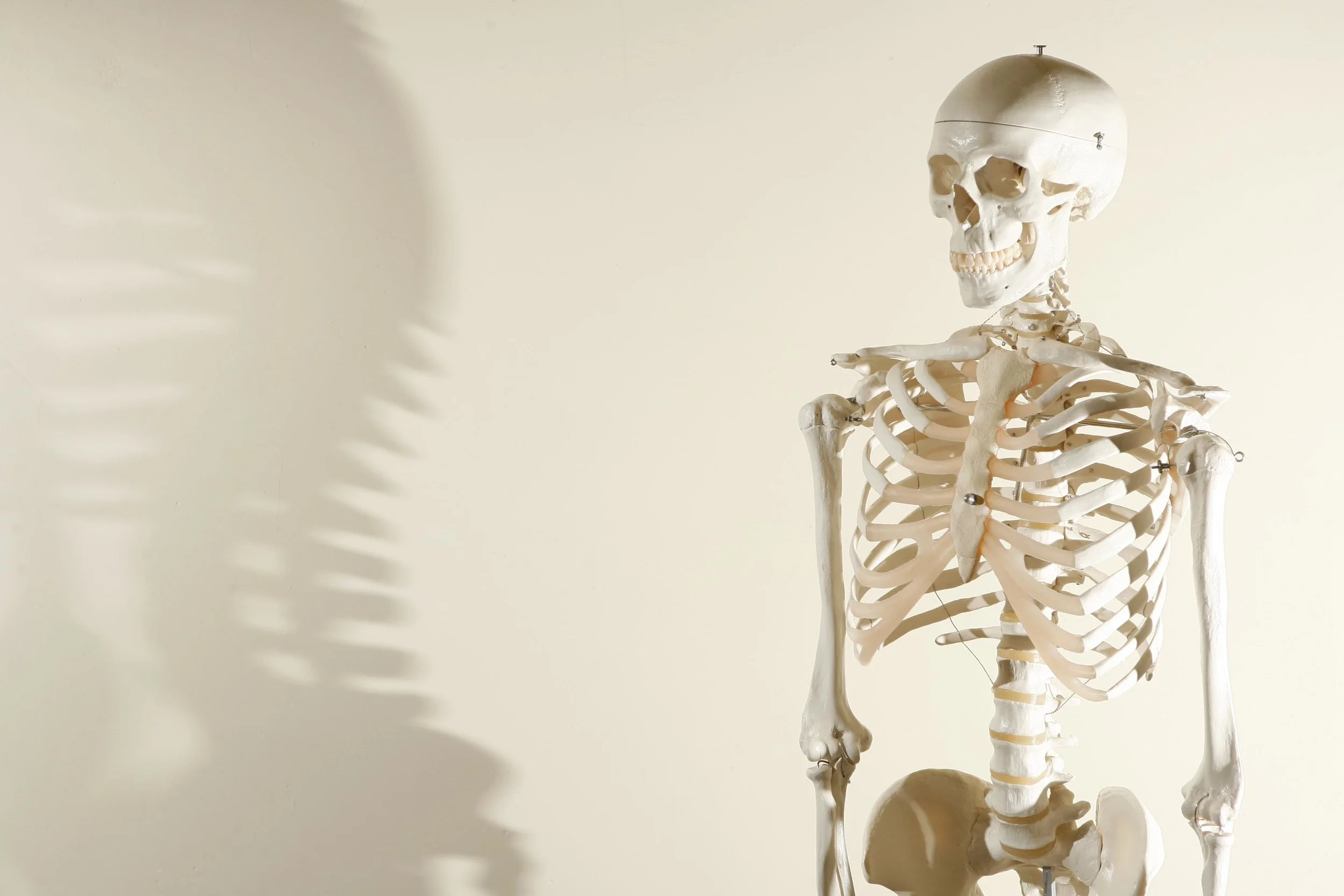Alexander Technique for pain management