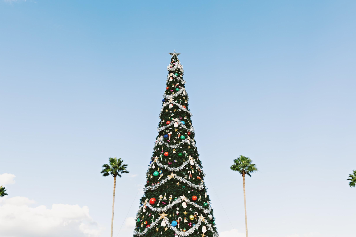 Photo courtesy of Unsplash by Thomas Kelley