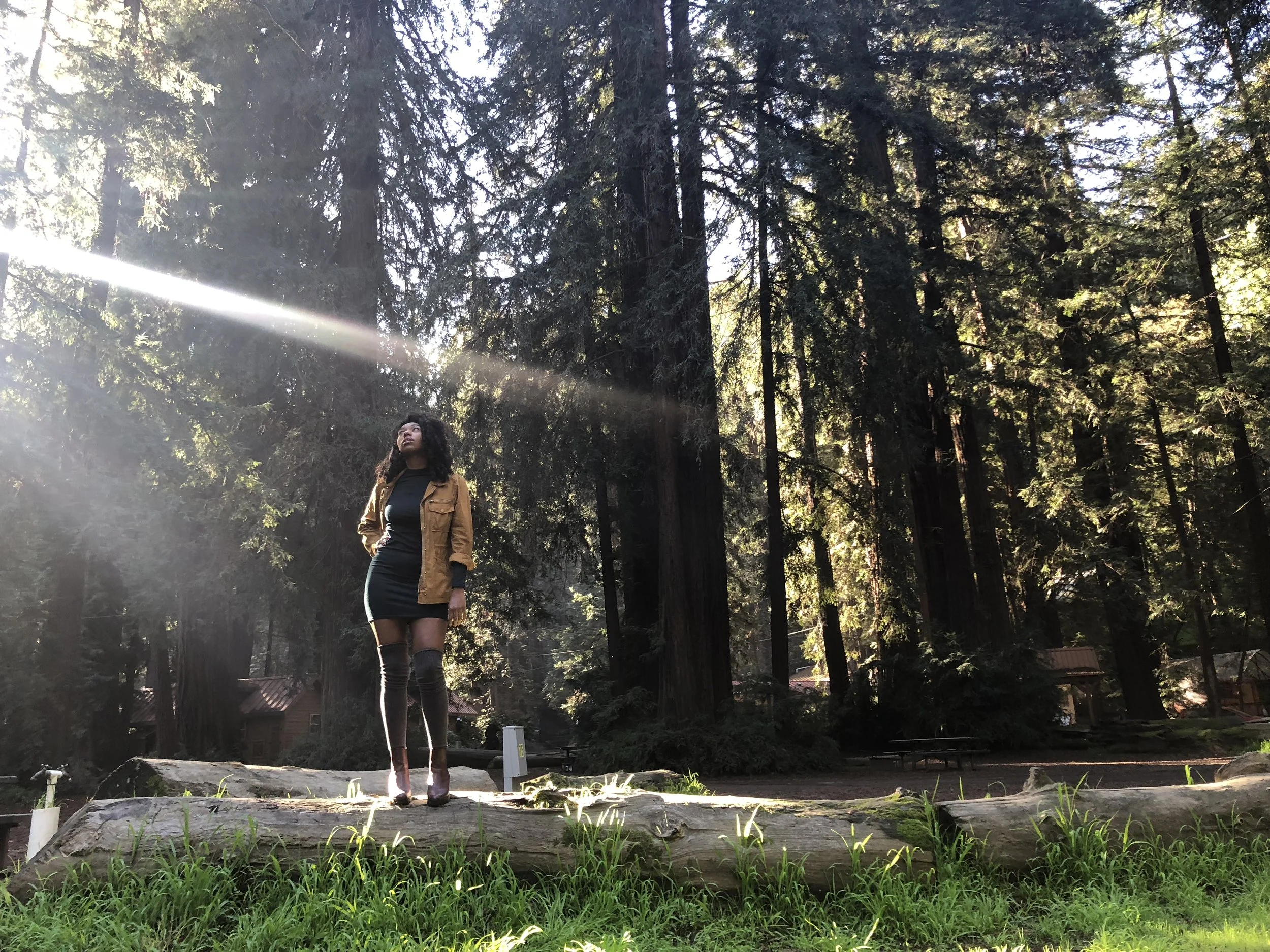 Big Sur, California