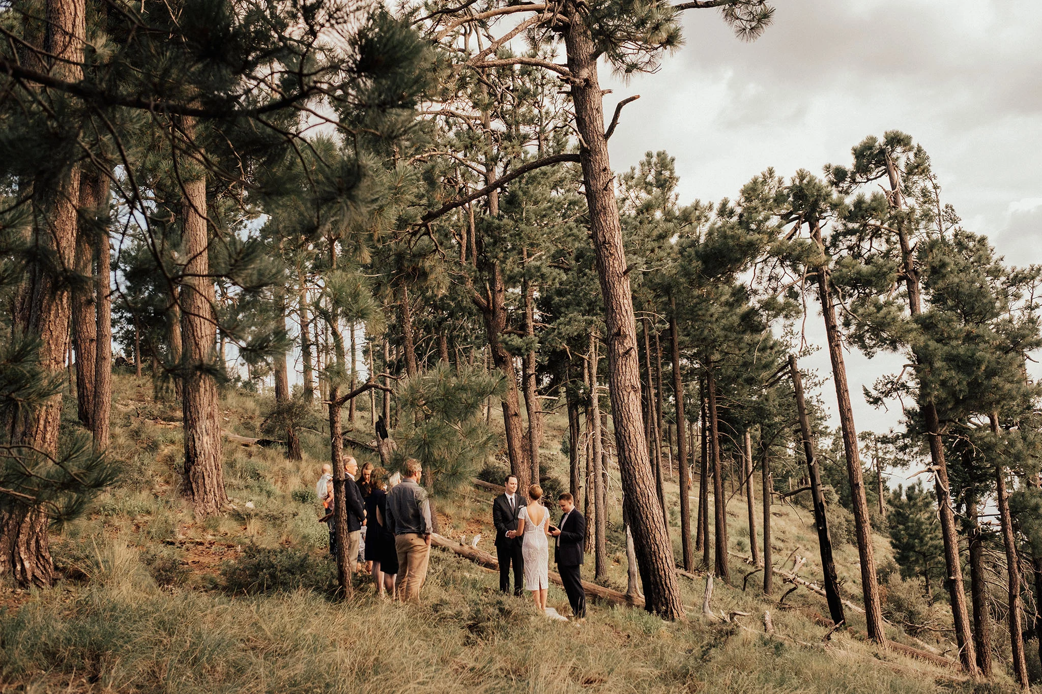 Arizona-Intimate-Elopement-Adventure-Photographer-Mount-Lemmon (1).jpg