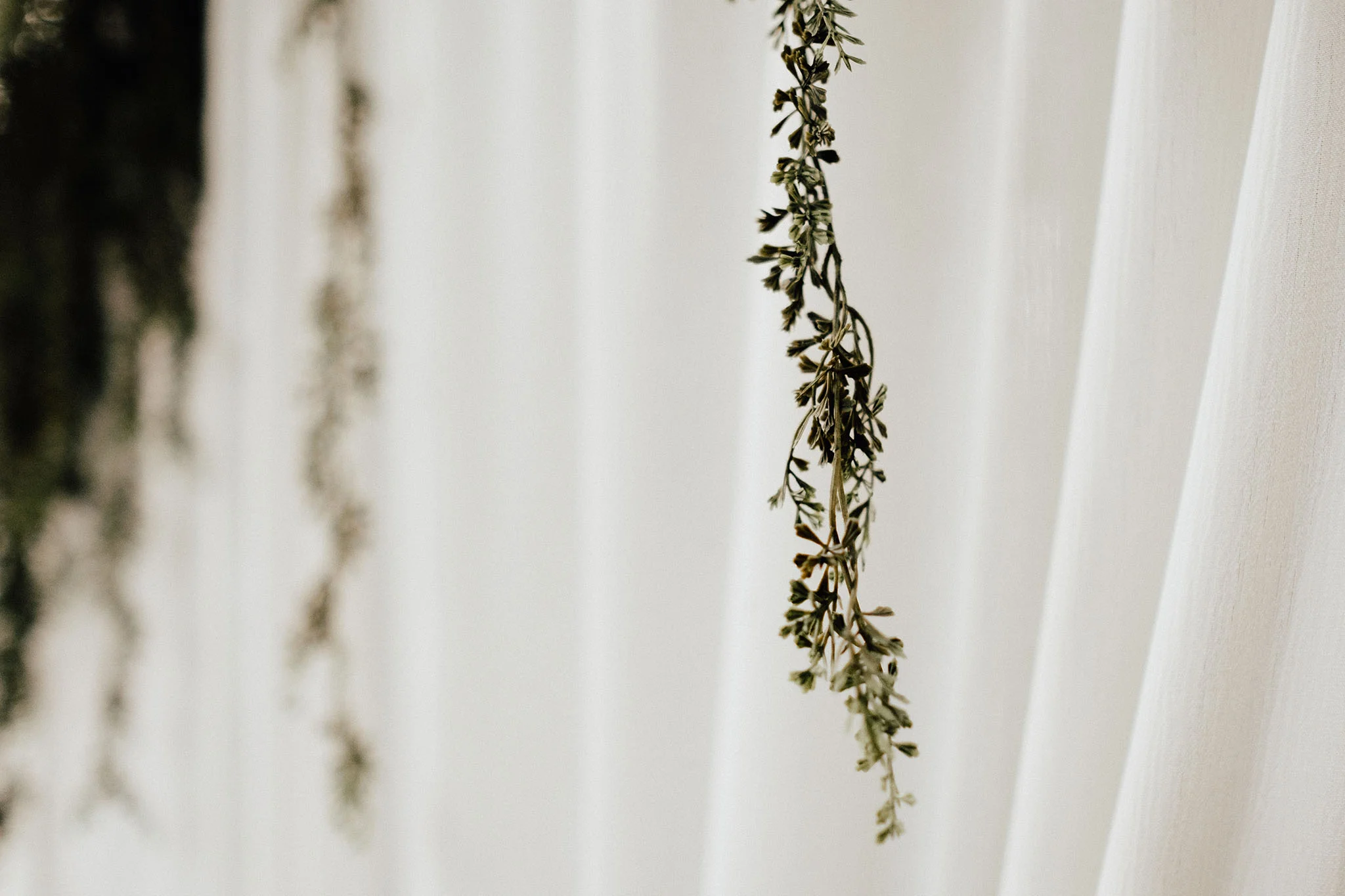 The-Shepards-Arizona-Intimate-Wedding-Elopement-Photographer (106).jpg