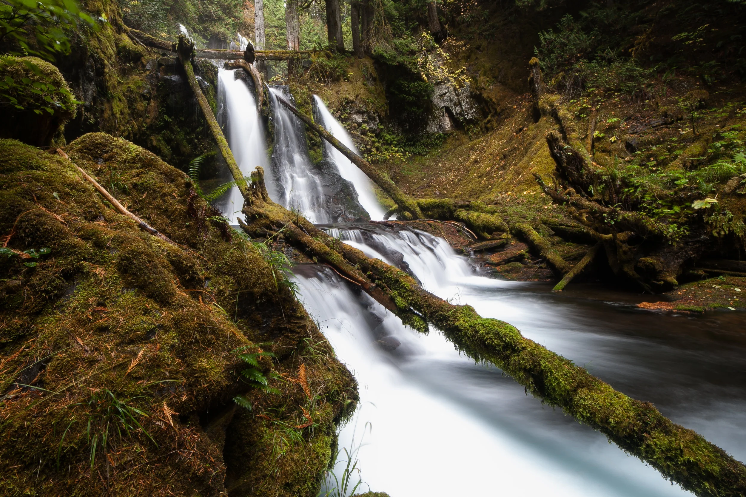 Panther Creek Falls, Washington