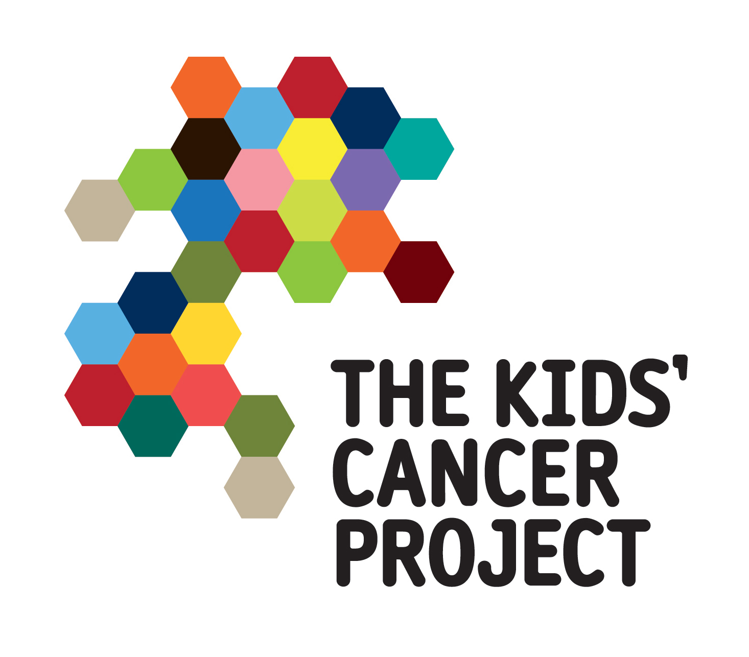   Kids Cancer Project  