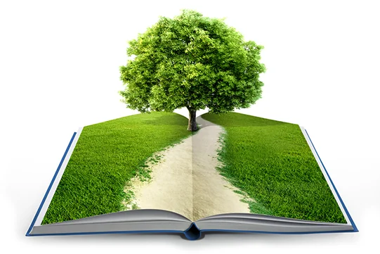 PlantaTree_book.jpg