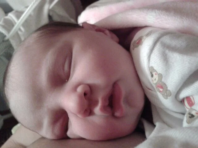 CRIANZA Y ESTILOS DE APEGO