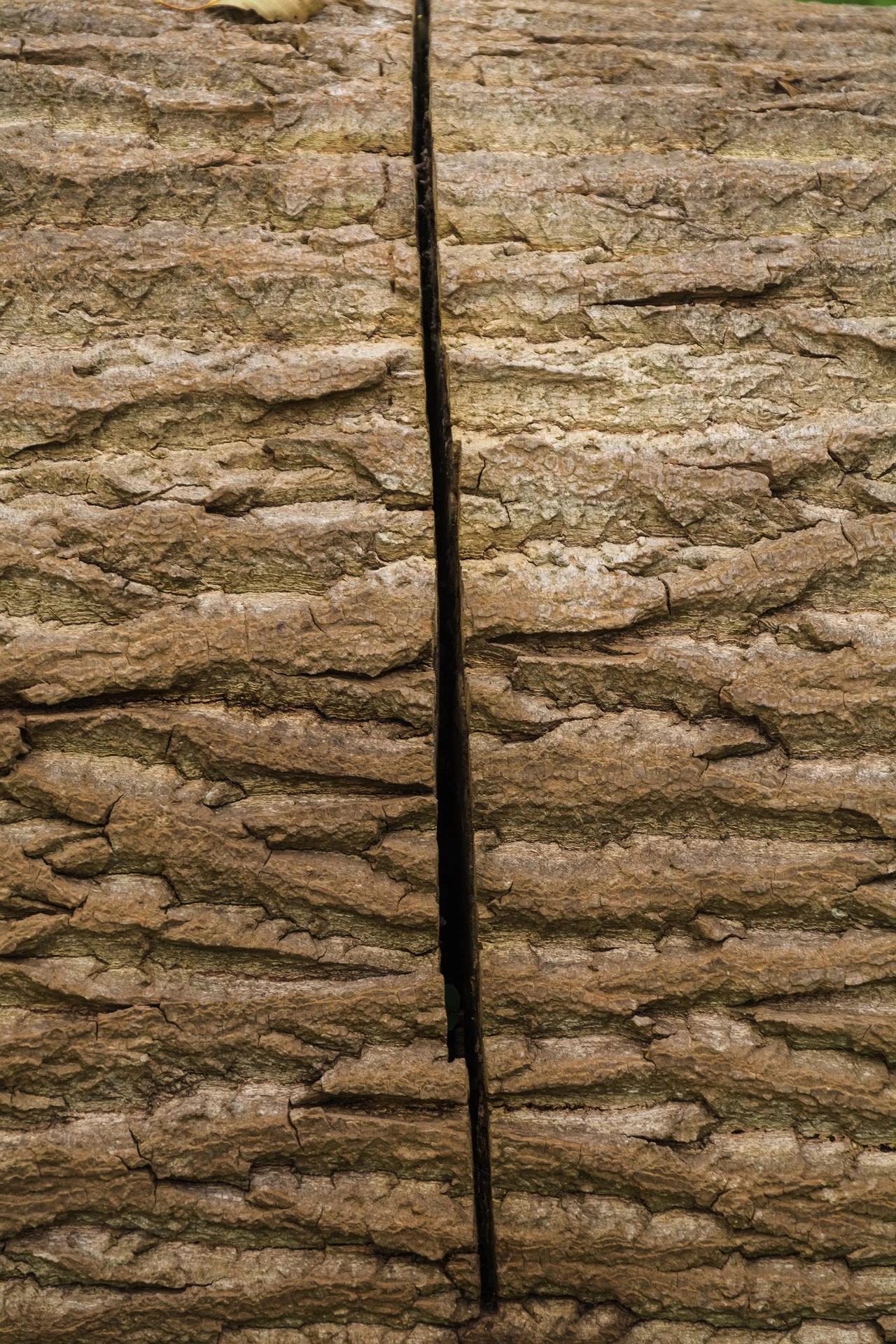 PERDER A UNA MITAD EN EL ALZHEIMER