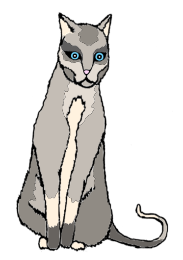 7.png