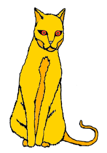 19.png