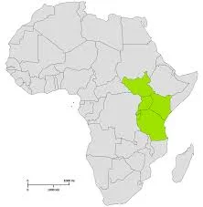 The EAC Common Market