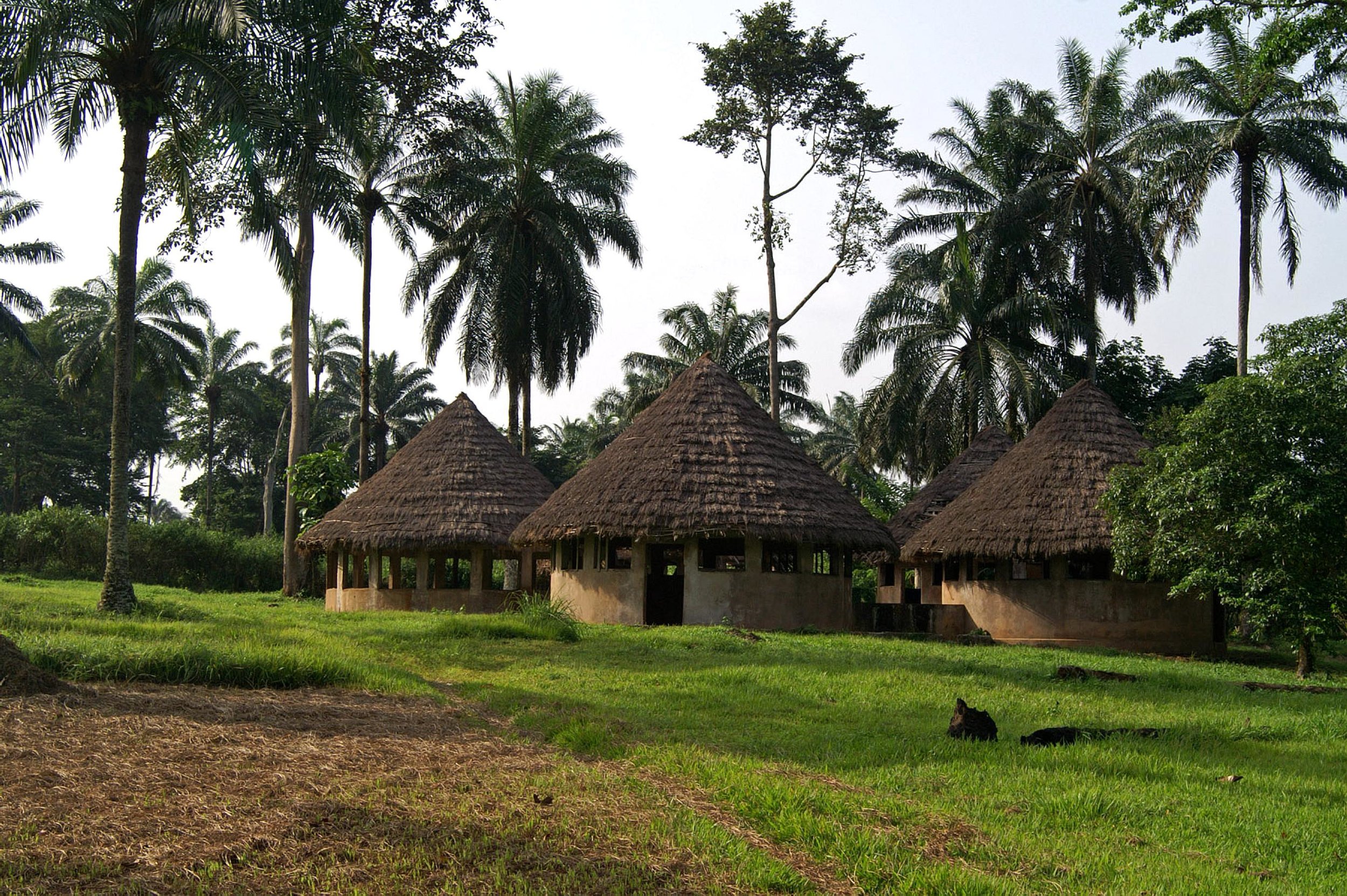 classrooms-at-the-lusakela-agriculture-station-democratic-republic-of-congo-africa.jpg