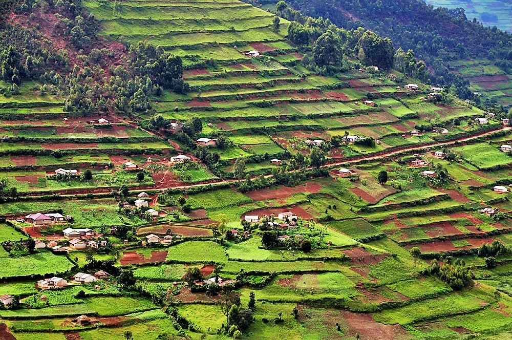 Uganda landscape enhanced.jpg