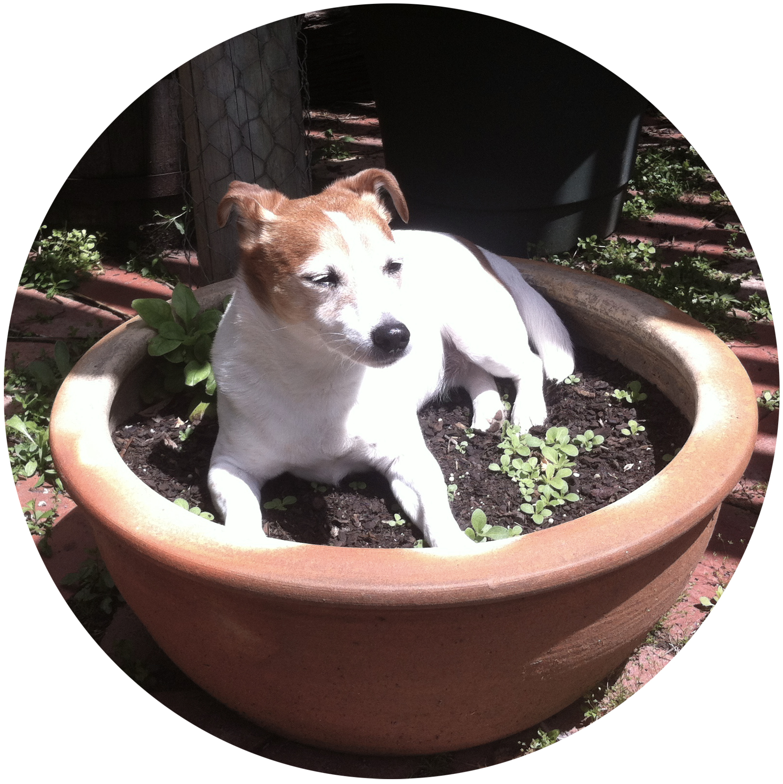 Studio Manager Bridie