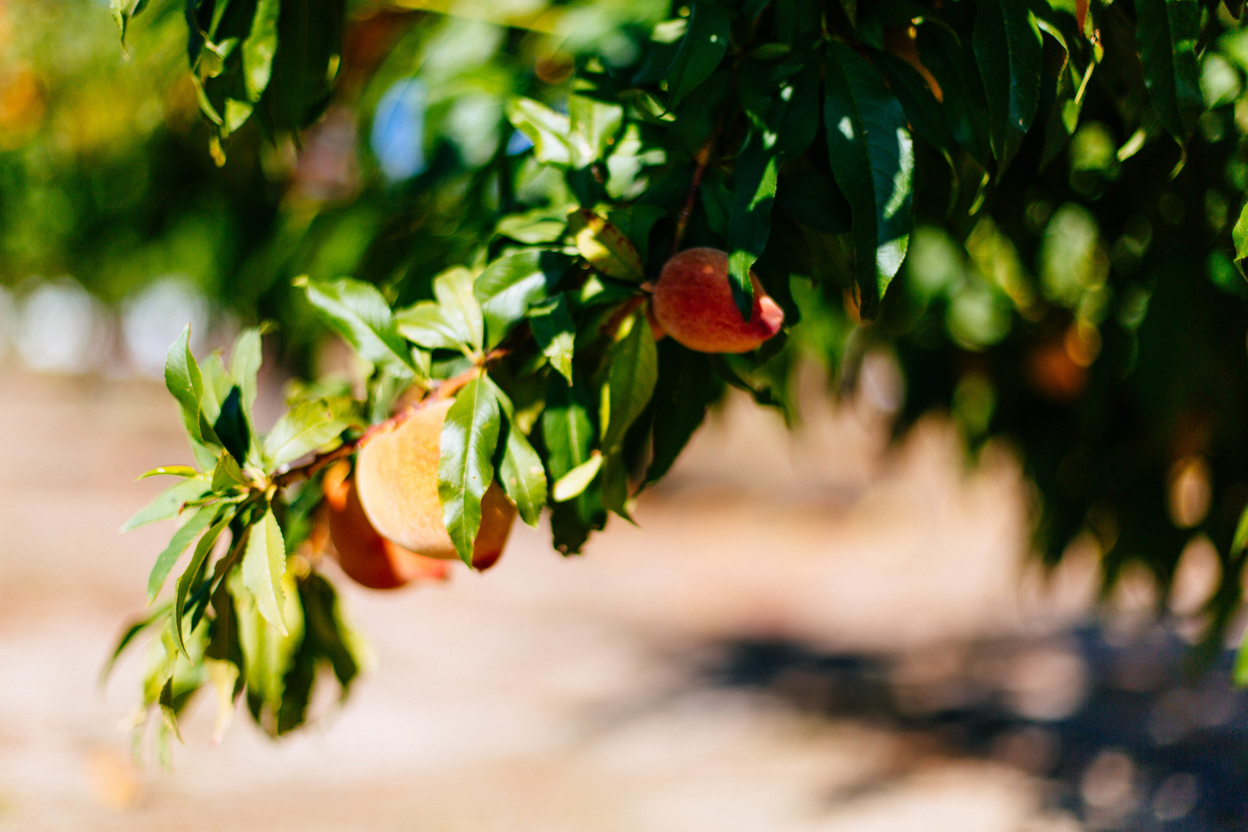 Your Checklist for a Successful Logo