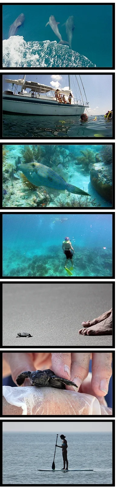 three_oceans_blogset.jpg