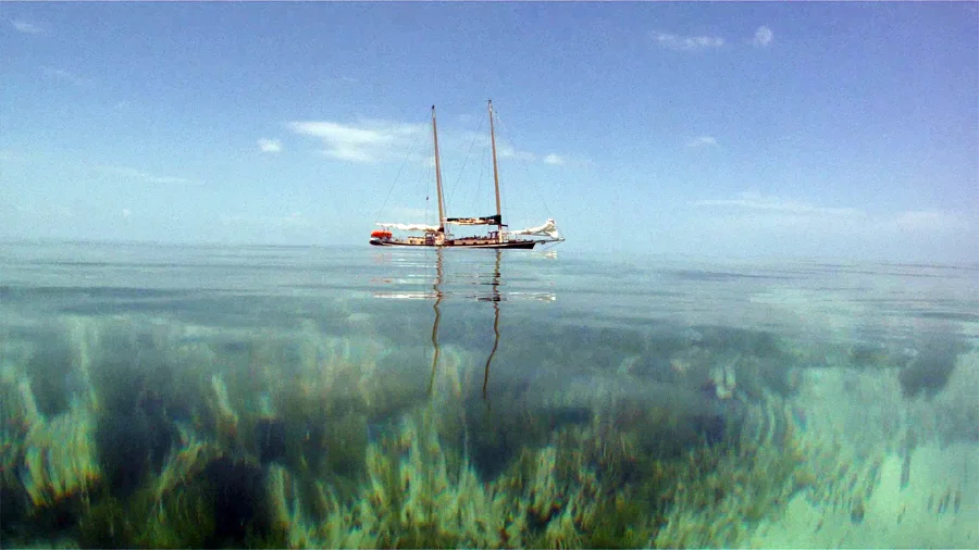 Danger Charters' Skipjack, The Sarah - Key West, FL