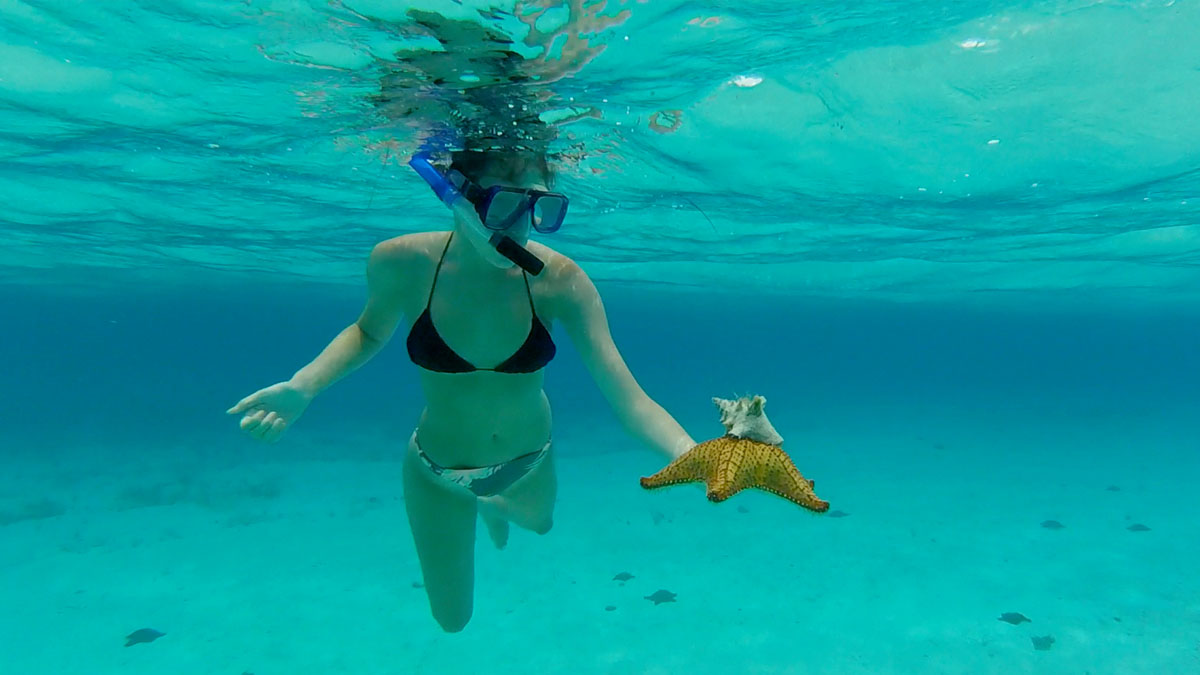 Marina with Pincushion Sea Star and Hitchhiker - Cozumel, Mexico