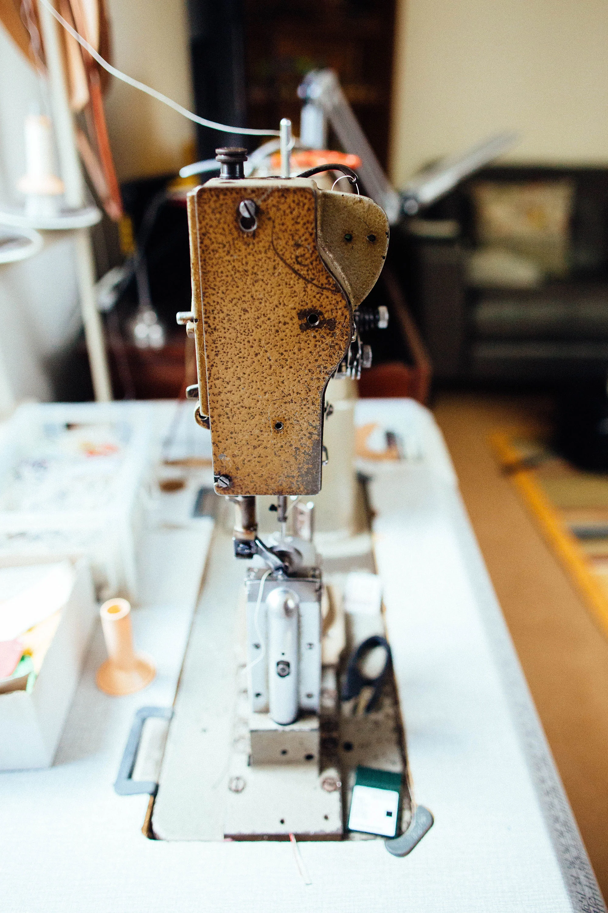 The-Little-Shoemaker-Credit-Michael-Newington-Gray-81.jpg