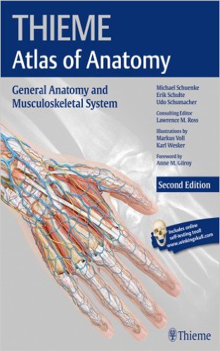 Thieme Atlas of Anatomy by Michael Shuenke.jpg