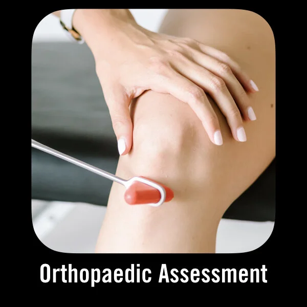 Logos for Emily's Courses.018.jpeg