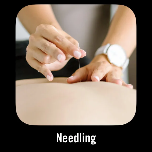 Logos for Emily's Courses.010.jpeg