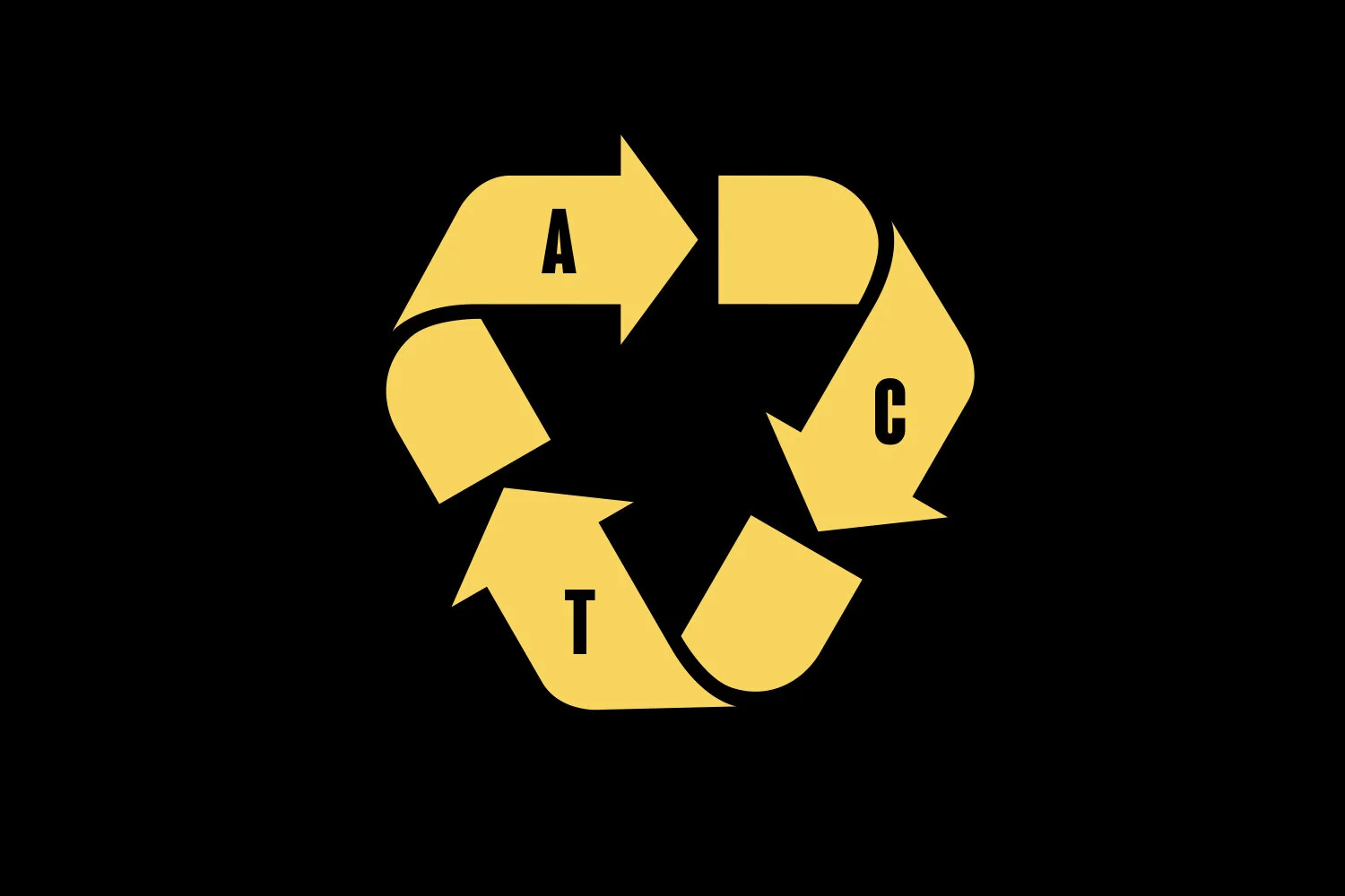 Web Photos 2020-09.022.jpeg