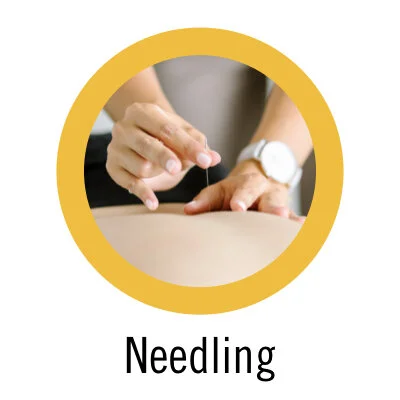 App Icons 2020-11.036.jpeg