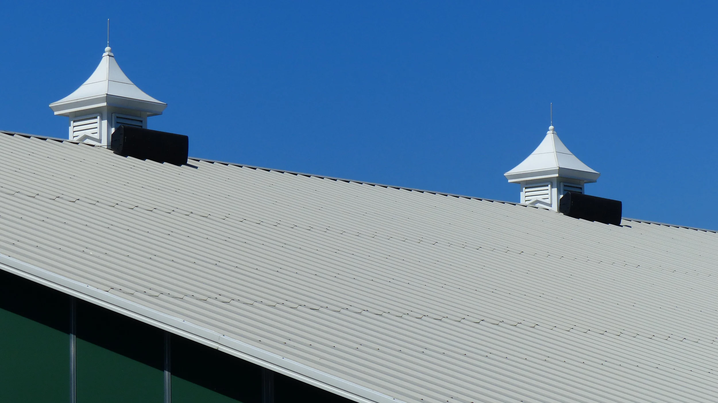P1000875.JPG