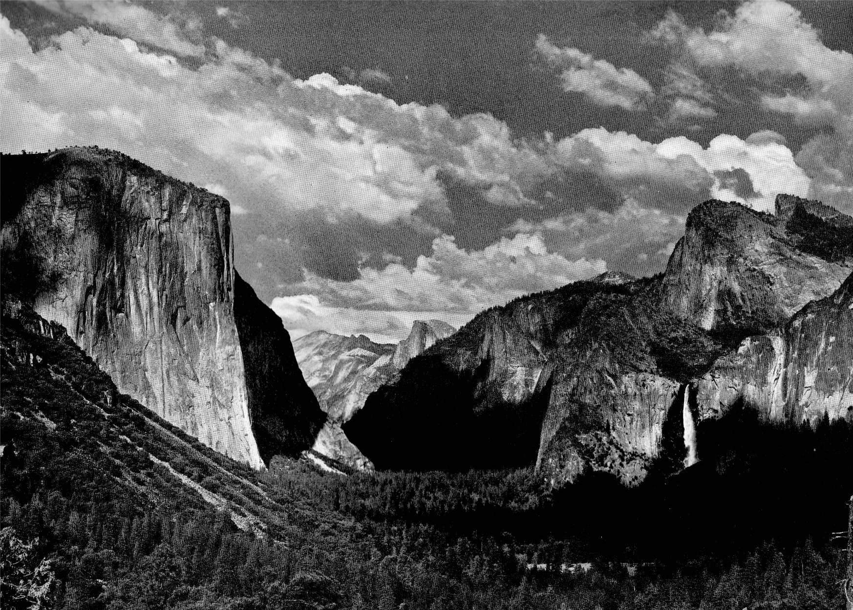 We are honeymooning out west - first stop, Yosemite National Park. 