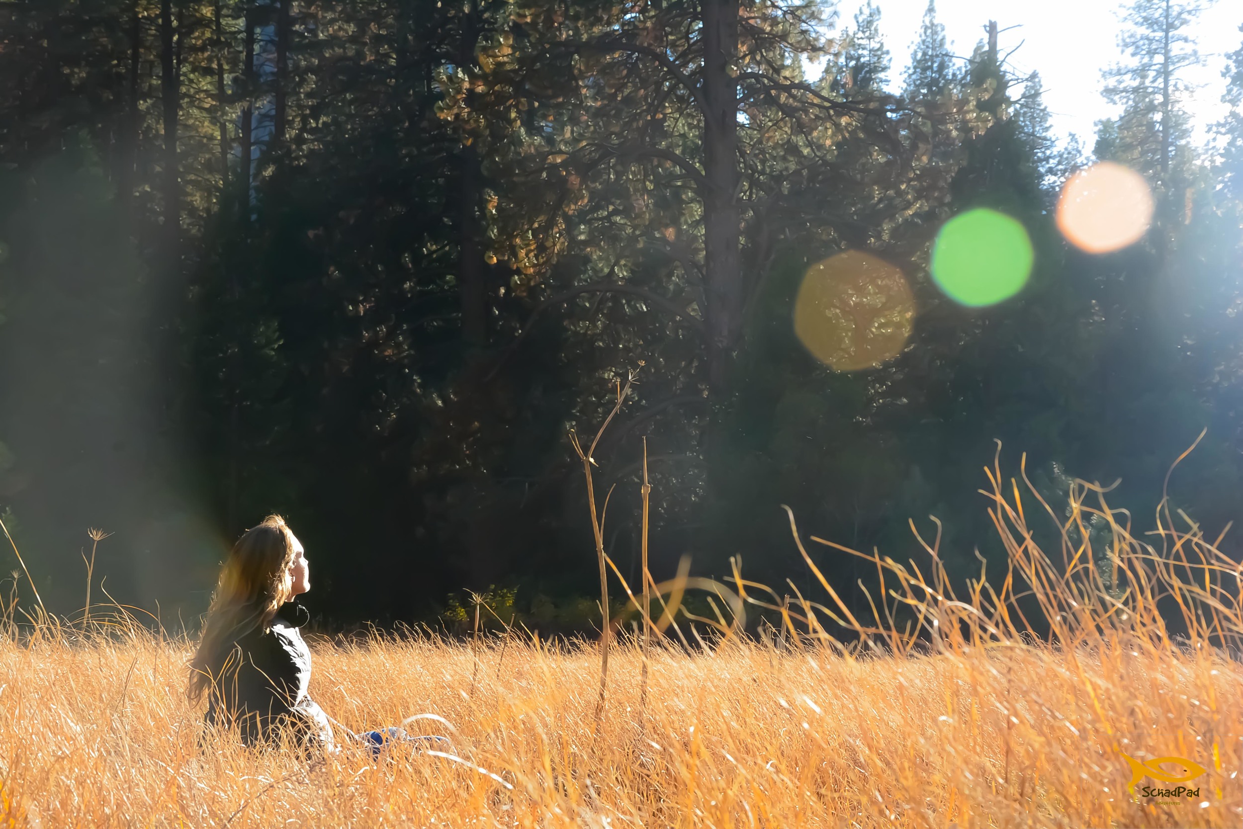 Kelly in the Meadow.&nbsp;
