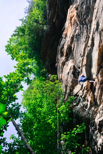 Yes, that's me way up there. 