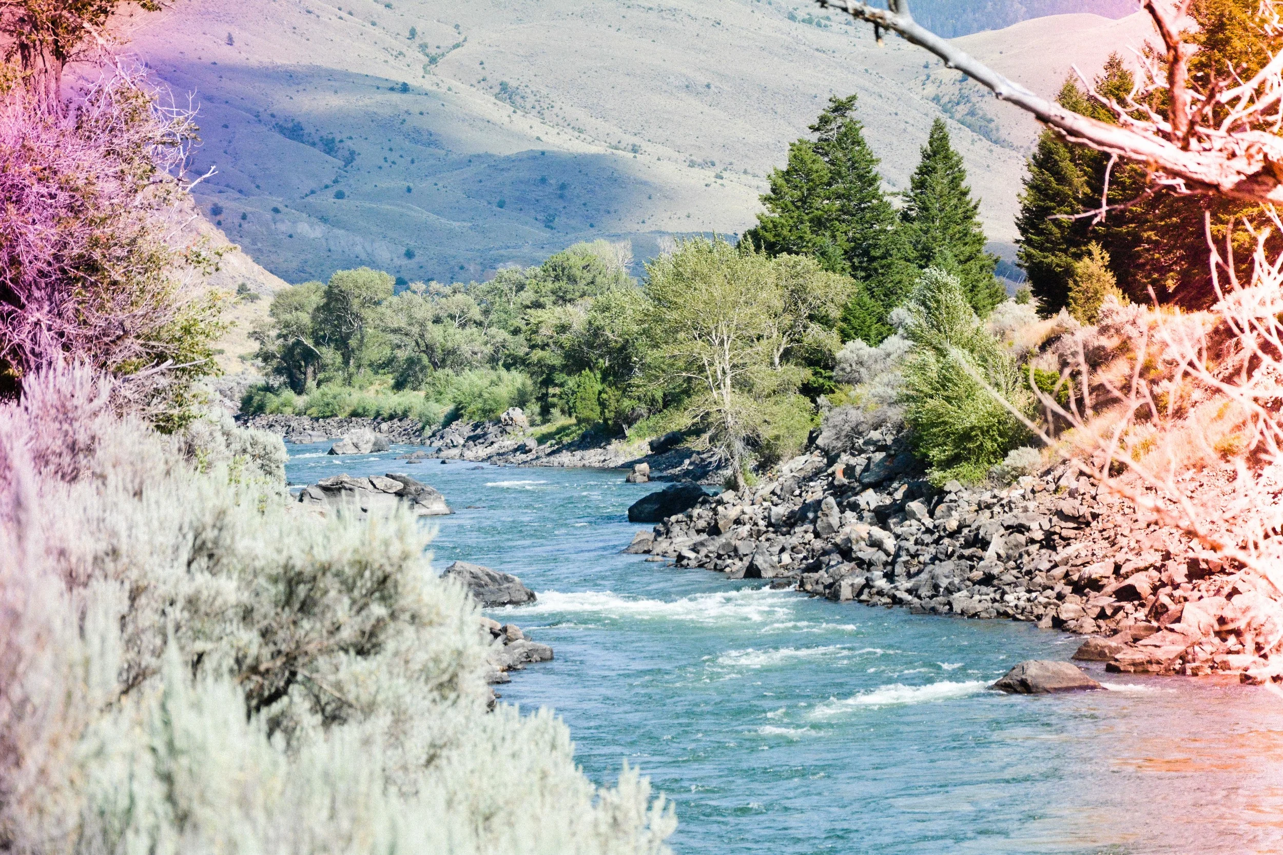 Madison River, Montana. 