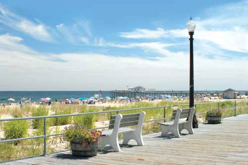 Shore Fall Orchid Festival