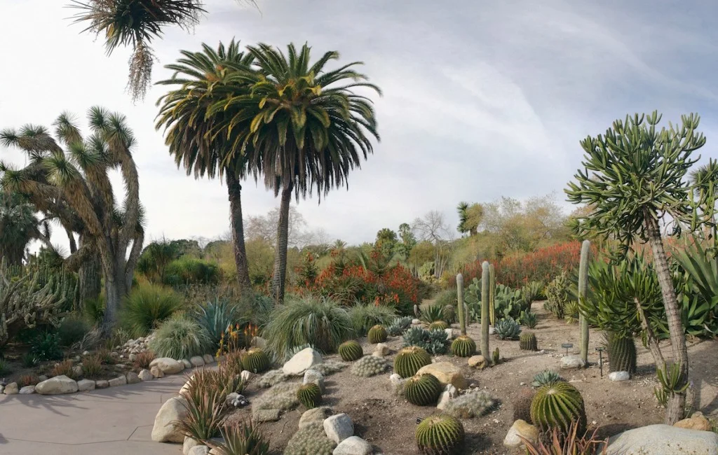 Huntington Gardens Orchid Show