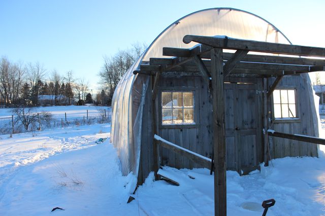 The sheep house in winter, hot house tomatoes in summer.