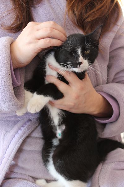 Purrrcival is winking because he feels so good even without his "bits."