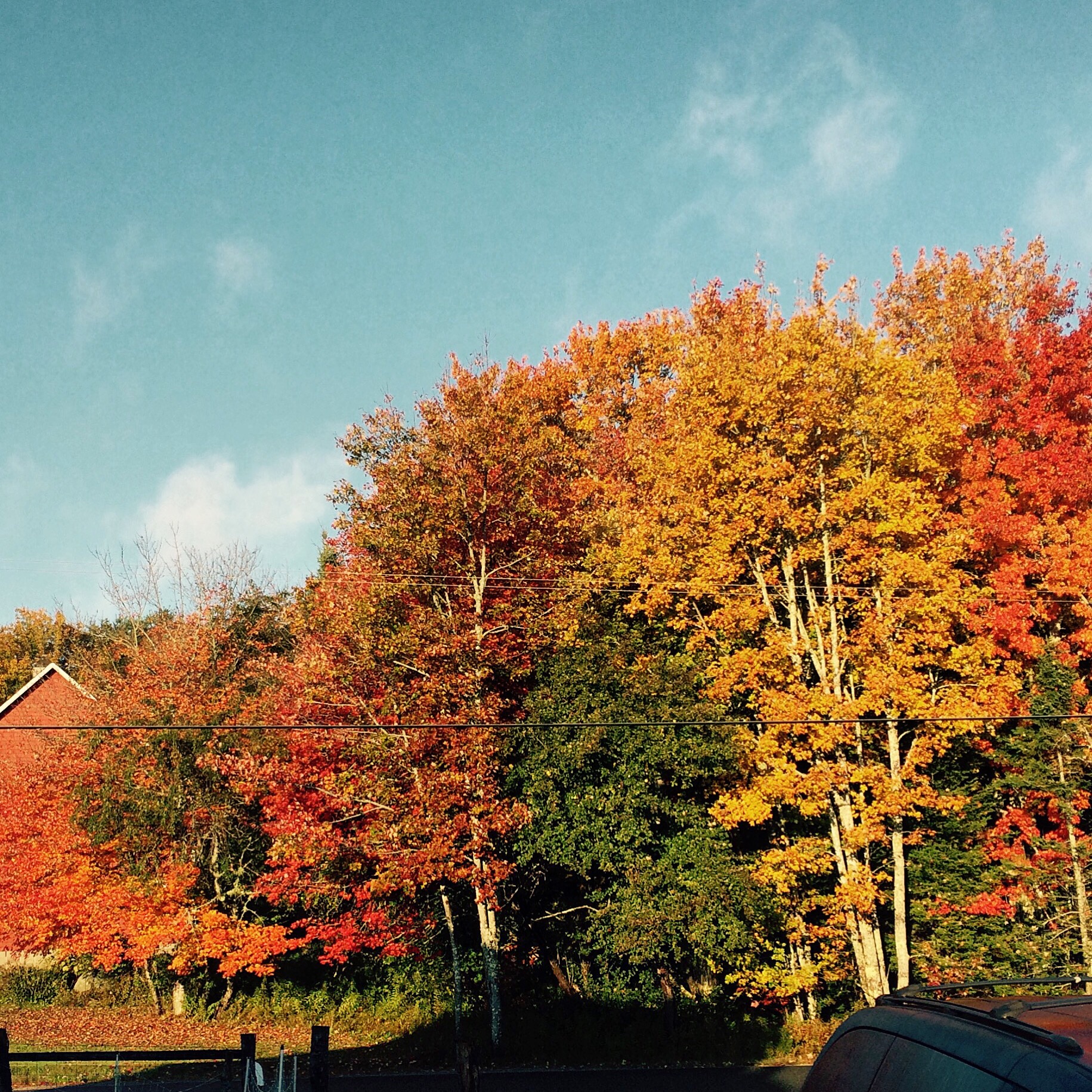 Out our front door