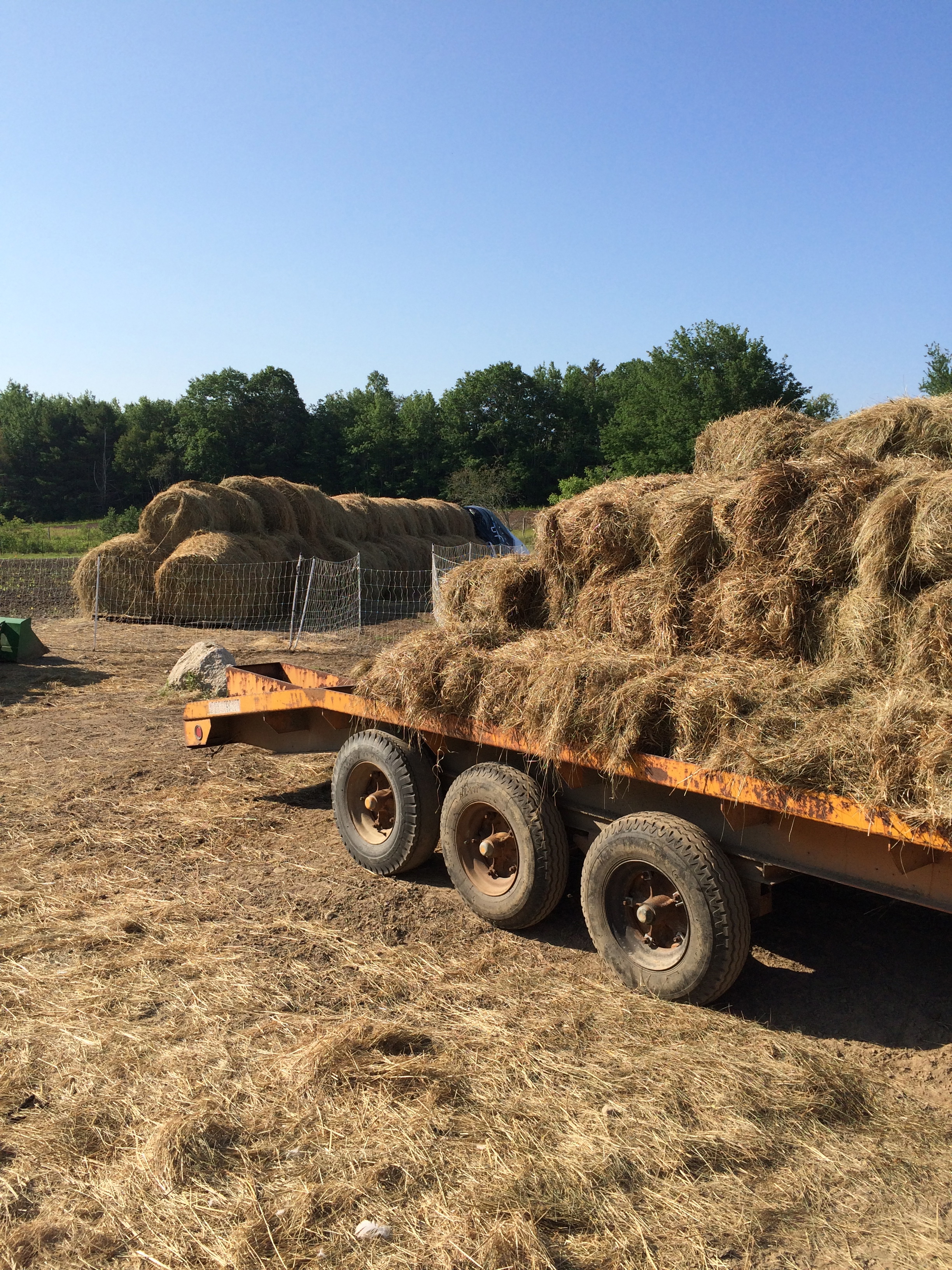 Hay!!!