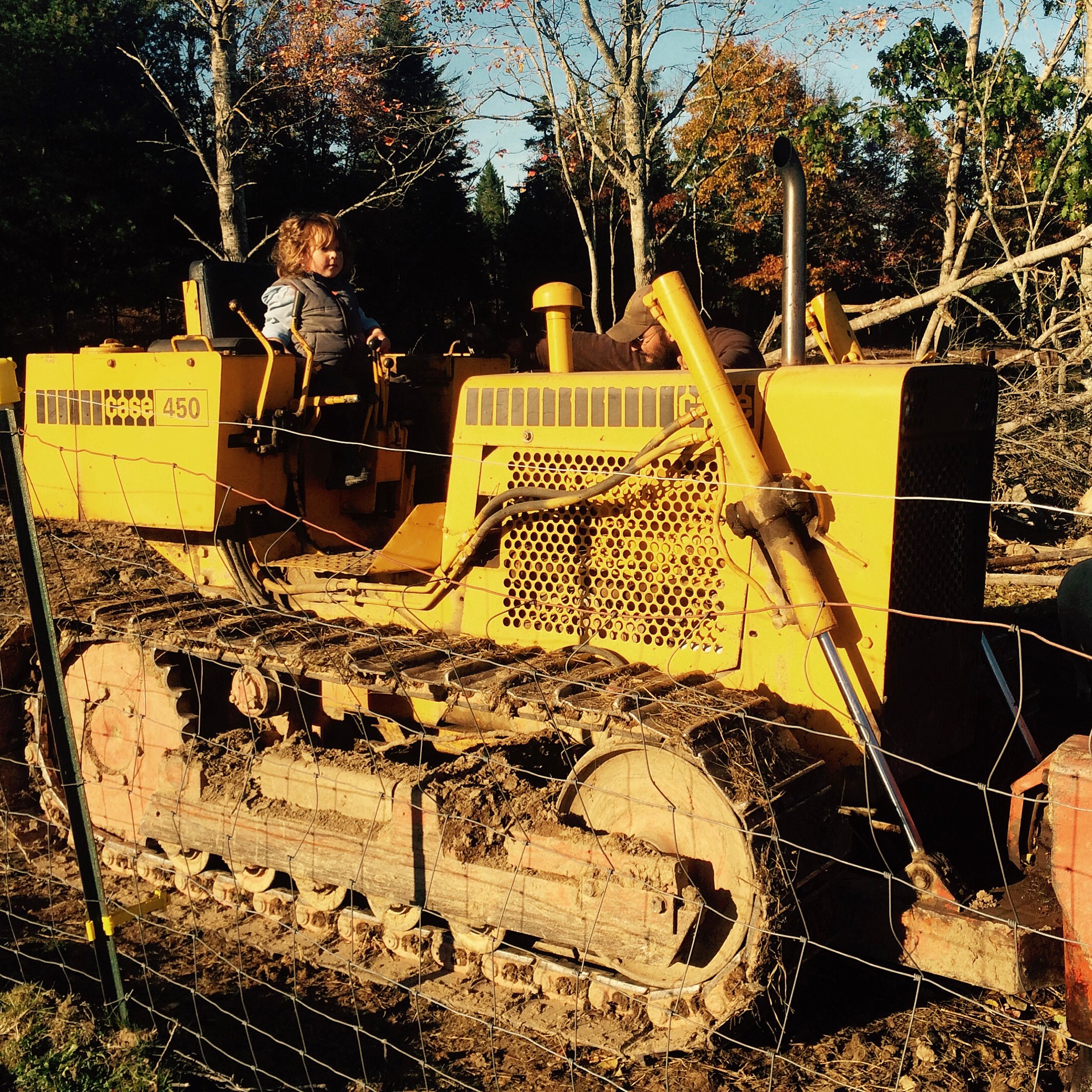 Borrowed bulldozer, Oran nonplused