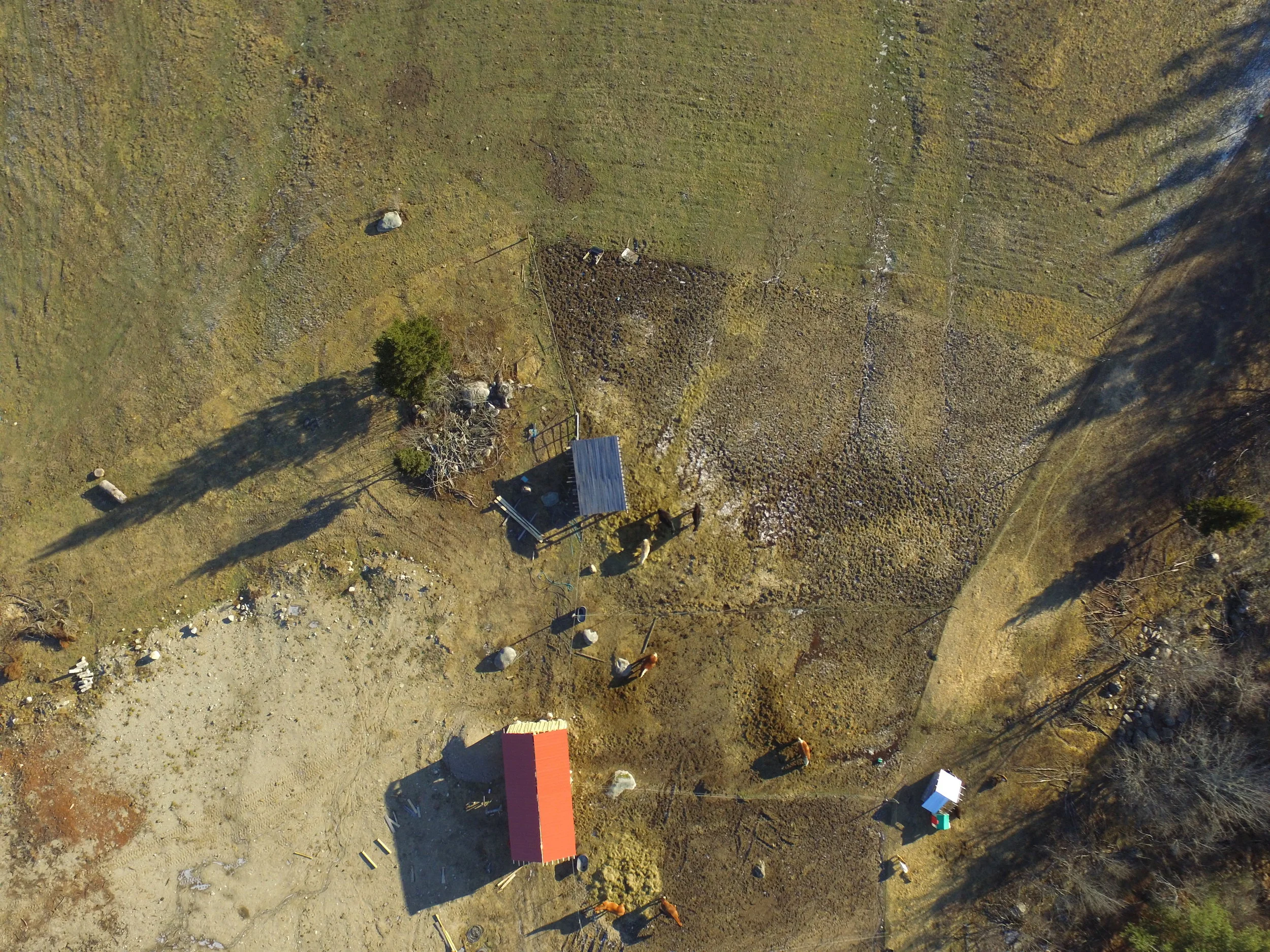 Another Bird’s eye Red roof is one horse shed
