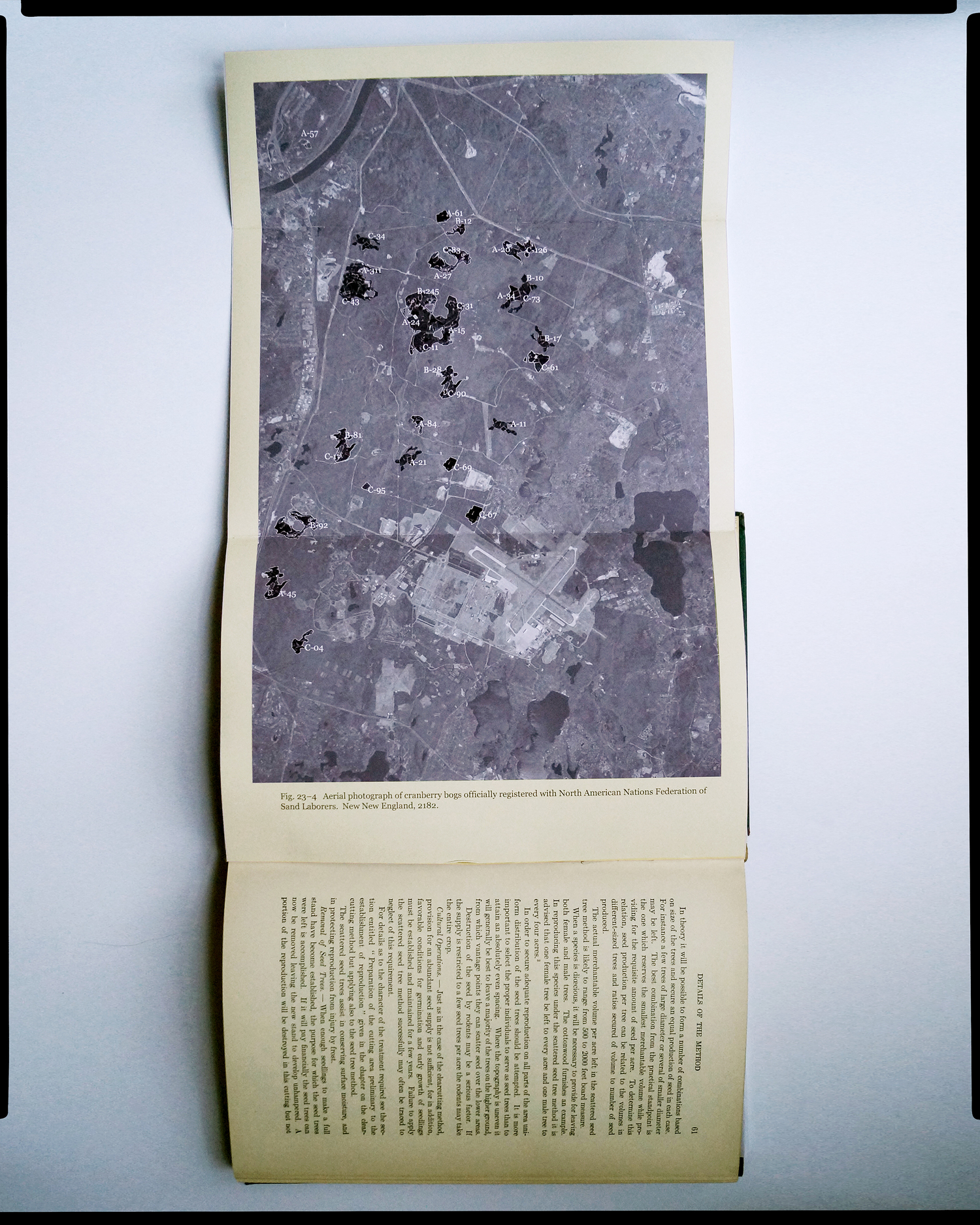 " Experiments in New American Forestry and Agriculture ." Aerial photography of cranberry bogs developed under the 2075 ONAN-SA policy of low-bog mining, in collaboration with the Cranberry Bog Tenancy Trust; Penguin, McMillan & Muller, 2182.
