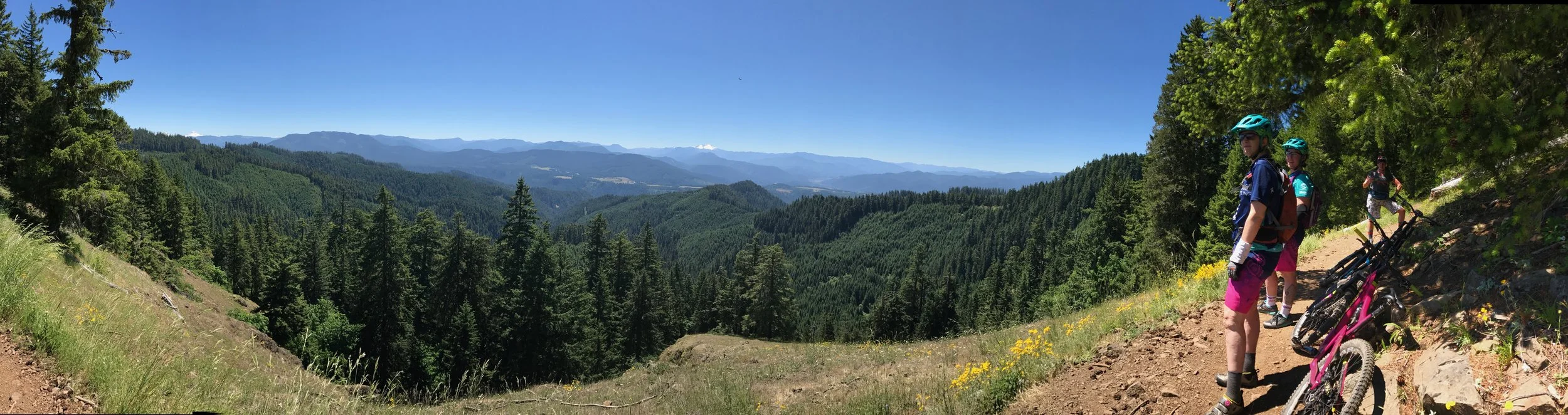 Oakridge Weekend Adventure - A true WCWC quote, "The meadow flowers were all out on Alpine. Hardesty was also a sh*t load of fun, once we finished the 3k climb to the top. Lots of hot break rotors on that steep beast." No fake news here.