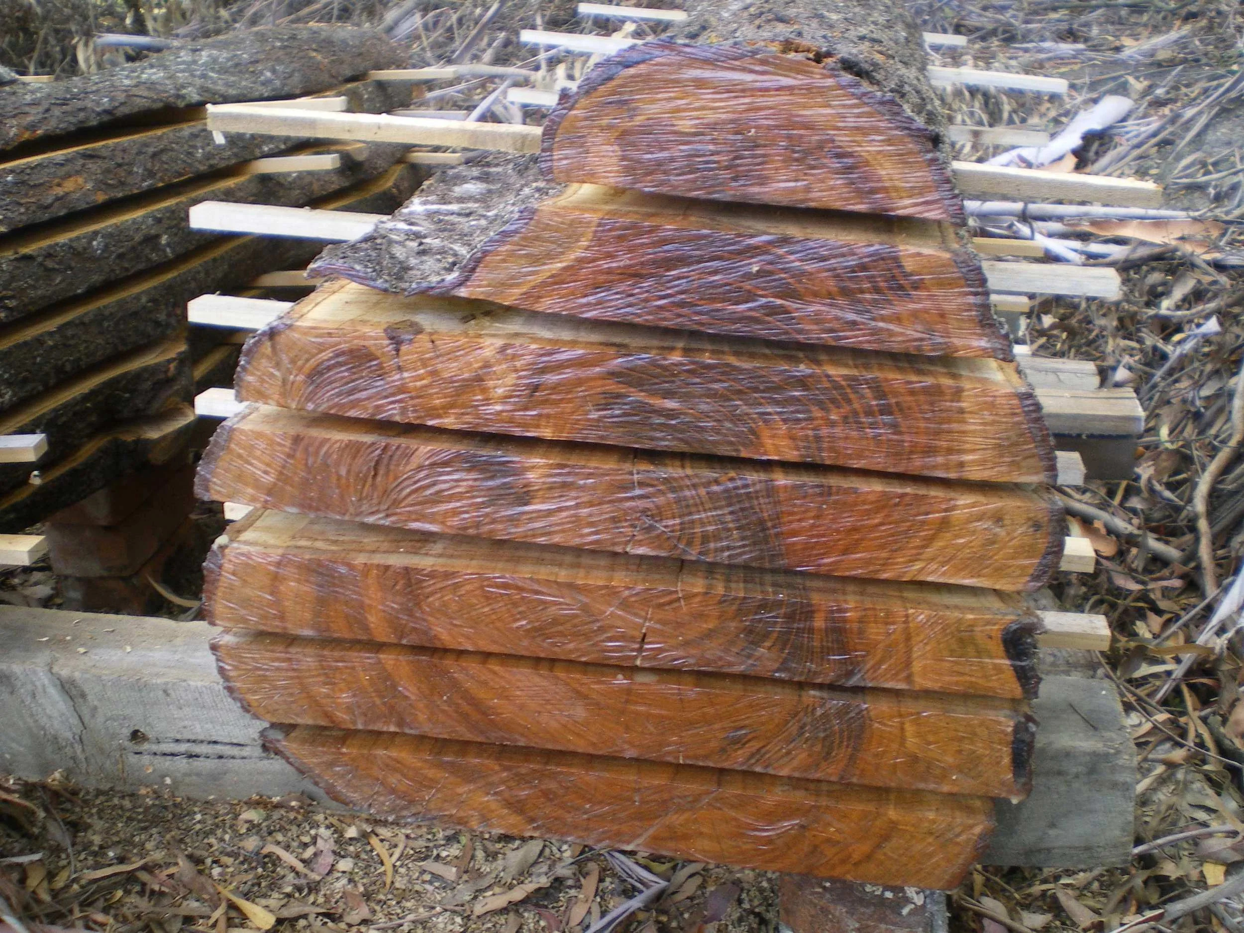 Cherry Log1 copy.jpg