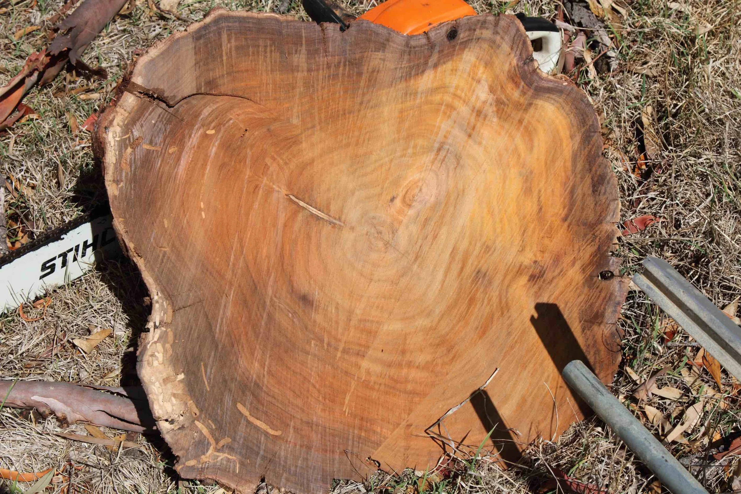 Blackwood2 copy.jpg