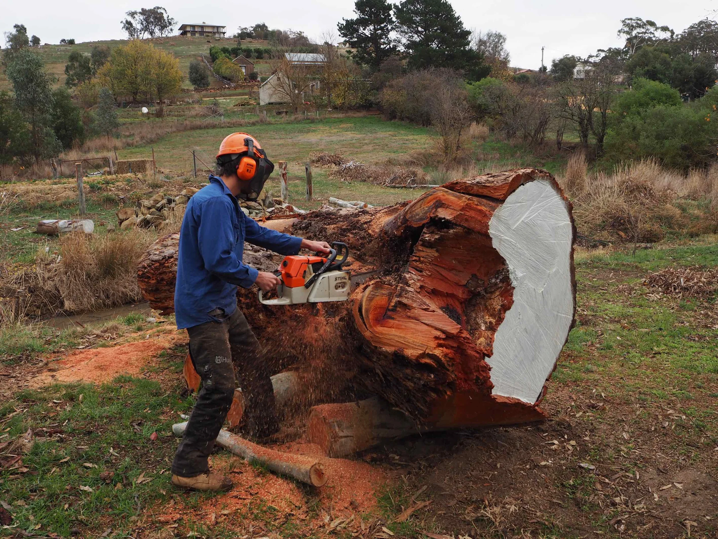 Red Gum log2 copy.jpg