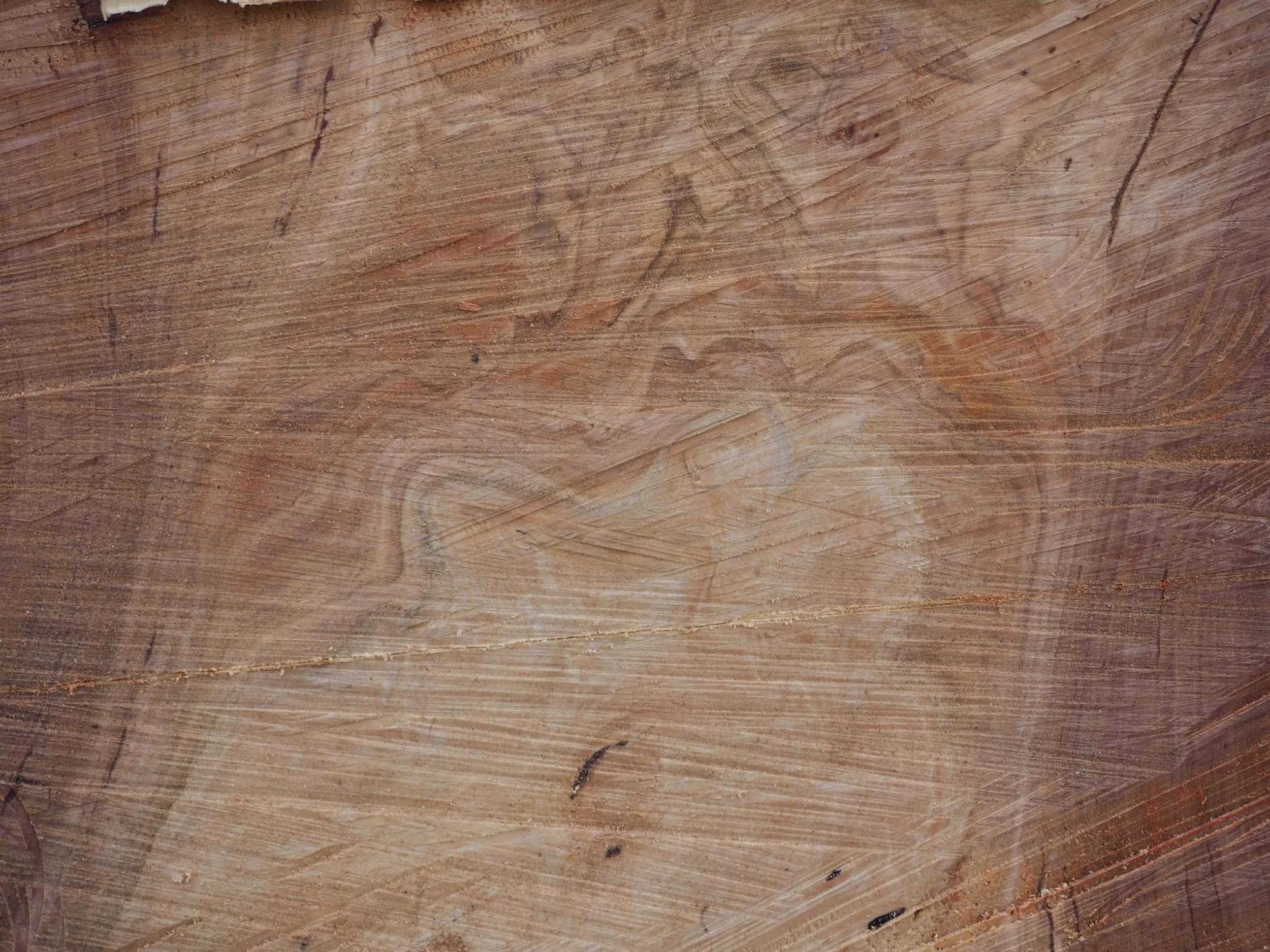 Red Gum4 copy.jpg